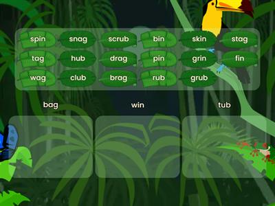 Word Families -ag, -in, -ub