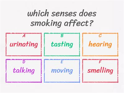 quiz basics 7