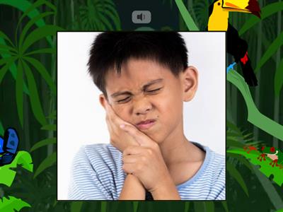 6Копія karpuk 4