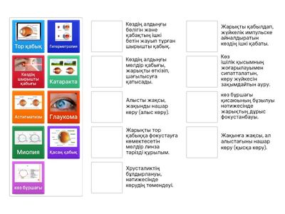 Офтальмология саласына қатысты  негізгі терминдер