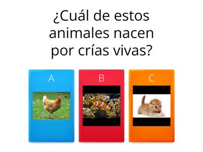 animales oviparos y viviparos