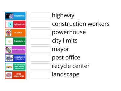 Cell City! Match the cell part to its matching part of the city.