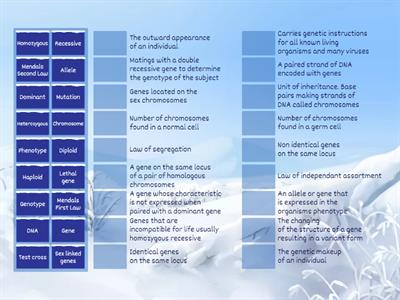 Genetic Terms Match up