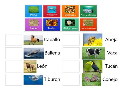 ¿Qué comen los animales?