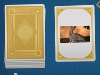 Сипаттап көр