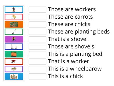 SINGULAR & PLURAL NOUNS