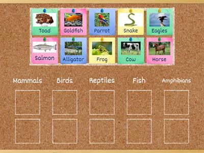 Classification of animals