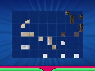 Guessing Game: Animals