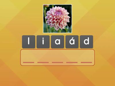 Ordena as letras e descobre as palavras (P T L D)