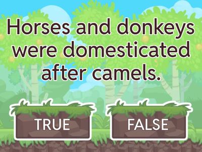 UNIT 3: TRANSPORT THROUGH TIME