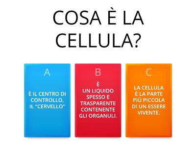 CELLULA QUIZ