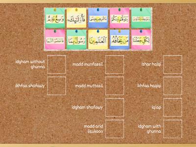 tajweed revision