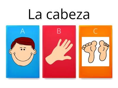 Las partes del cuerpo 2nd grade