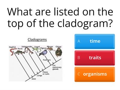 Cladogram Quiz ELL