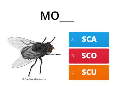 PAROLE CON  SCA - SCO - SCU 