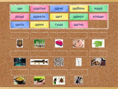 Автоматизация звука Щ