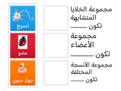 مستويات التنظيم في الخلية : 