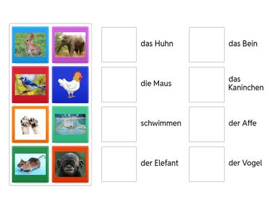 Lernliste B Wortschatz dieren