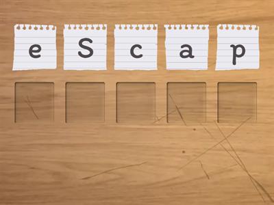 Principles of Hair Design 