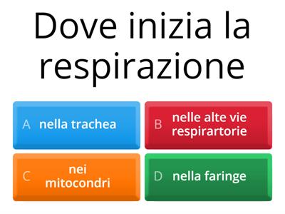 gioco sulla respirazione