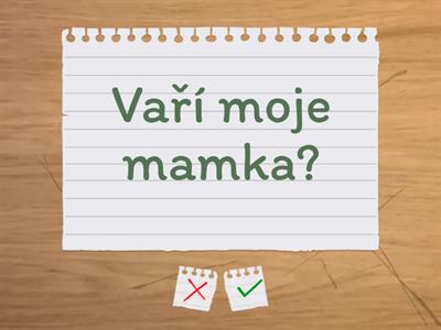 Present simple tense (+ - ?)