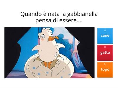 GABBIANELLA E IL GATTO