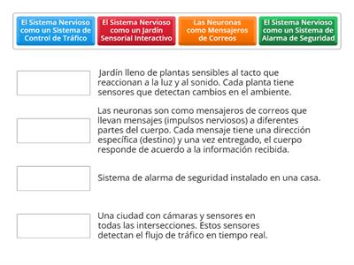 ANALOGIAS DEL SISTEMA NERVIOSO