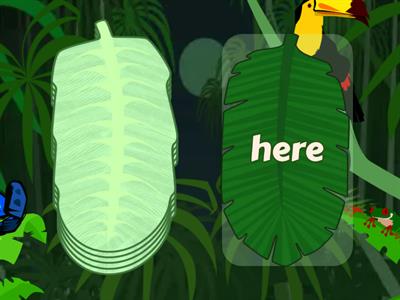 Tricky Word Practise