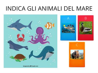 ANIMALI DEL MARE