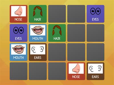 Parts of the Face