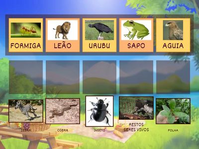 CADEIA ALIMENTAR: QUEM COME QUEM?