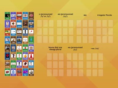 English Grammar | Plurals