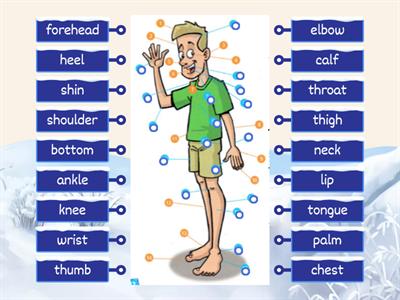 Body vocab Project 4 Unit 3