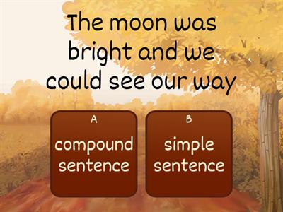 Simple and compound sentences.