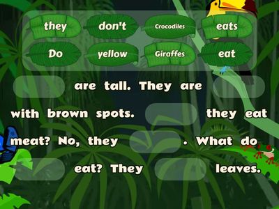 What do animals eat?