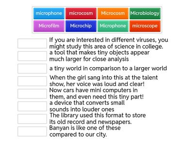 #17 Micro- Vocabulary Practice