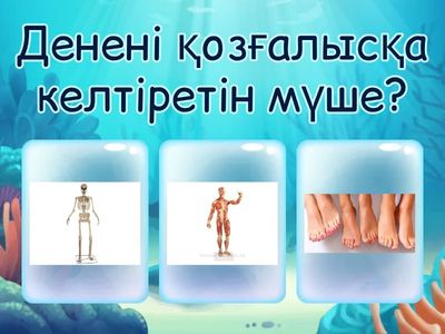 Қорытындылау