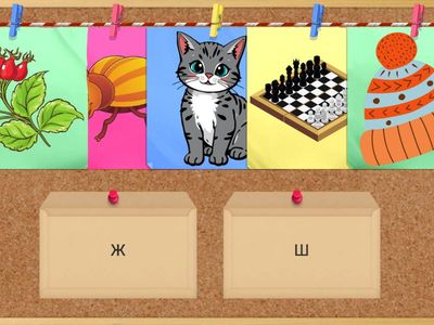 Диференціація Ж-Ш