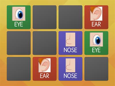 Matching pairs - Parts of the face