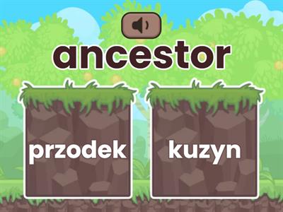 memory master, family