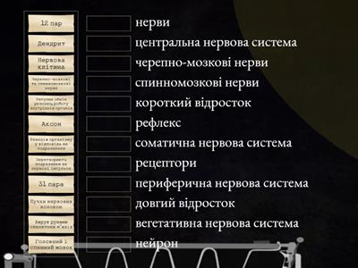 Нервова система.