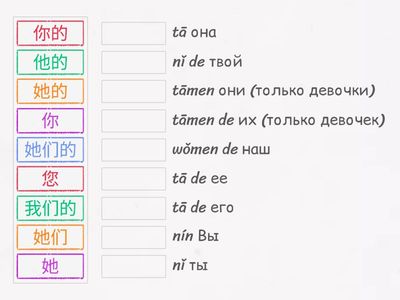 Местоимения + Притяжательные местоимения