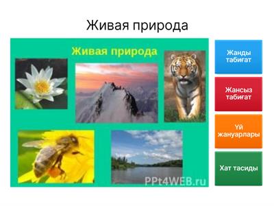 СОР 1.1 Каз яз