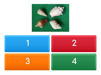 Counting/subitising/number recognition