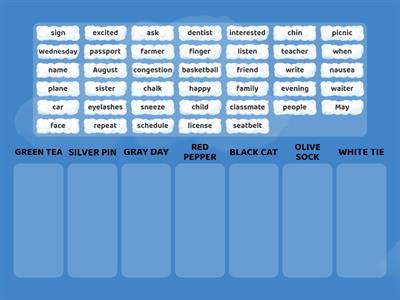 II Color Vowel Word Sort (GREEN TEA, SILVER PIN, GRAY DAY, RED PEPPER, BLACK CAT, OLIVE SOCK, WHITE TIE)