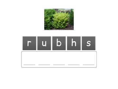 Barton 3.4 SHR- Anagrams