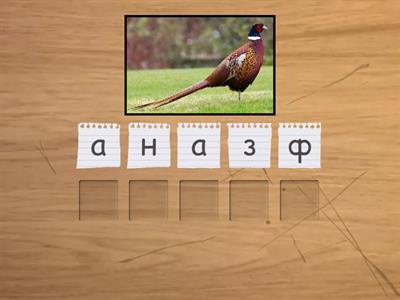 Слова з буквою ф