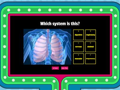 Body Systems