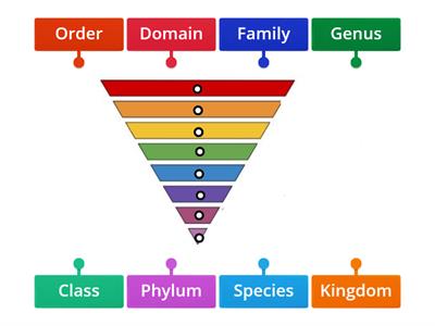 Classification 