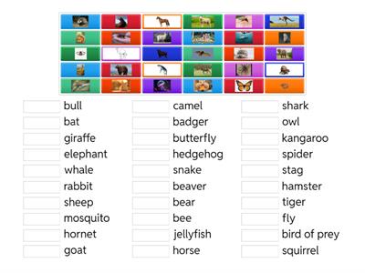 Animals - pre-intermediate